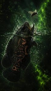 oscar