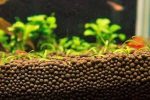کود آکواریوم پلنت | Plant Aquarium Fertilizer
